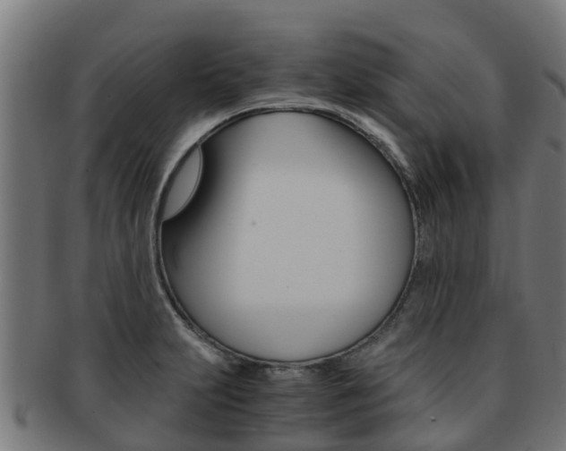 X0000091981231200709061146