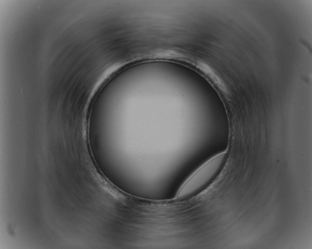 X0000091981232200709061146