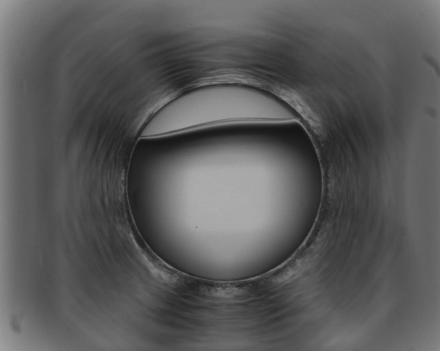 X0000091981233200709061146
