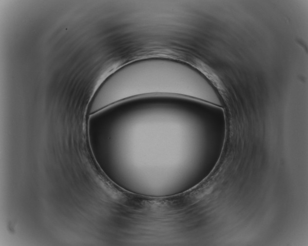 X0000091981234200709061146