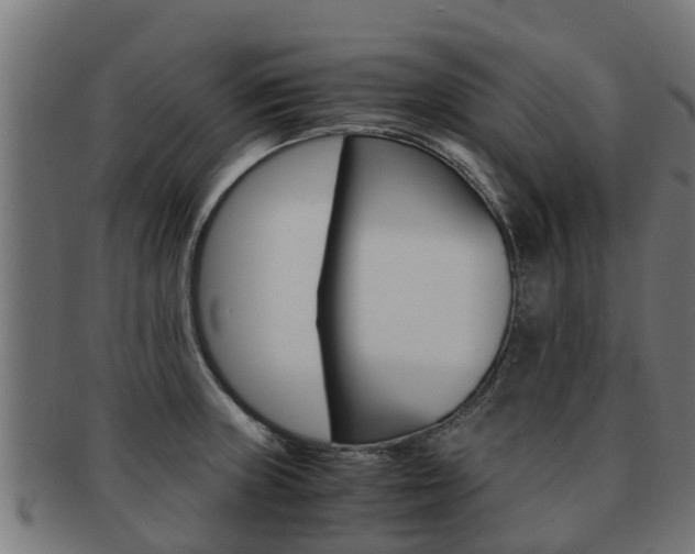 X0000091981235200709061146