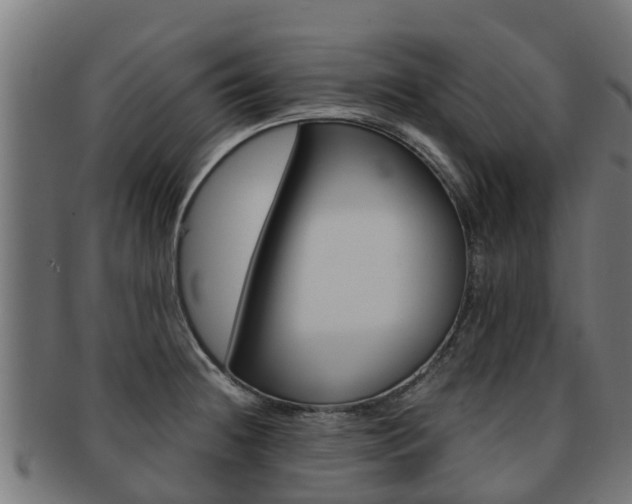X0000091981236200709061146