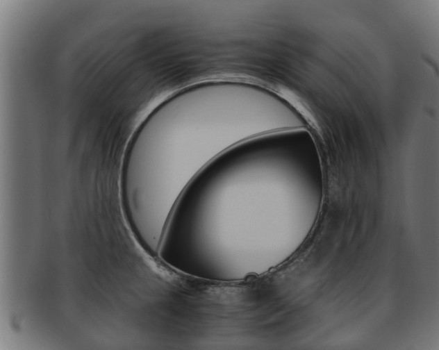 X0000091981237200709061146