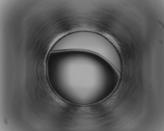 X0000091981238200709061146