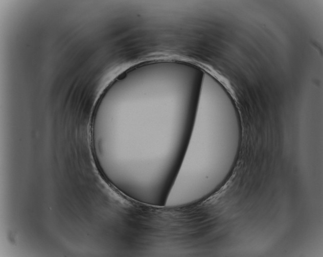 X0000091981239200709061146
