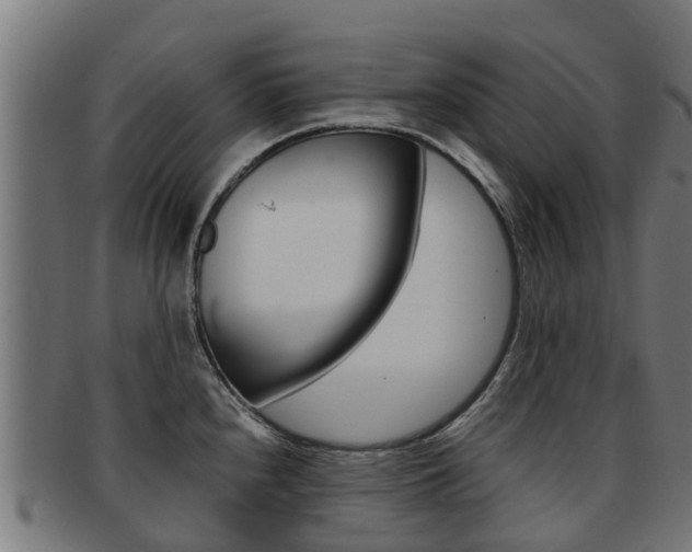 X0000091981240200709061146