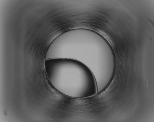 X0000091981241200709061146