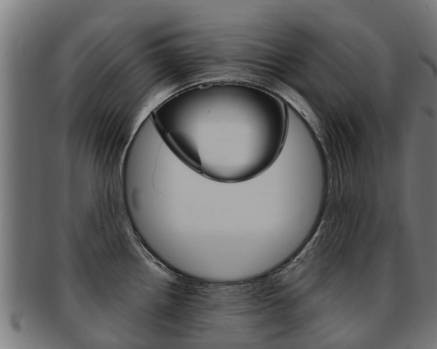 X0000091981242200709061146