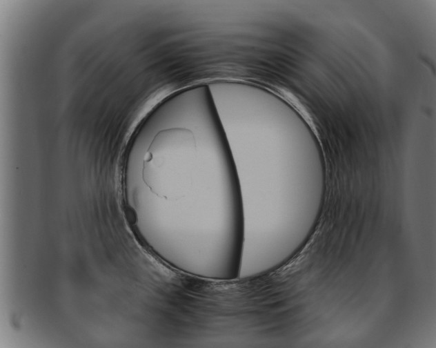 X0000091981243200709061146