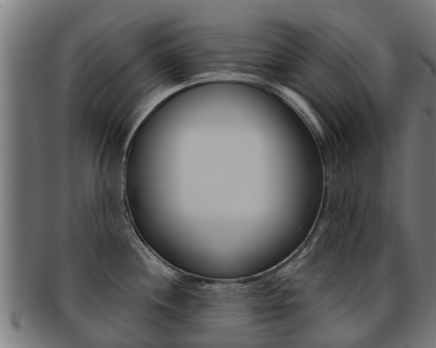 X0000091981244200709061146