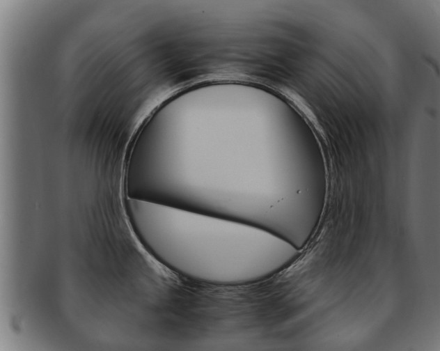 X0000091981245200709061146