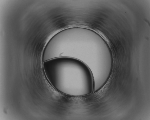 X0000091981246200709061146