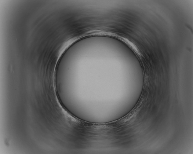 X0000091981247200709061146