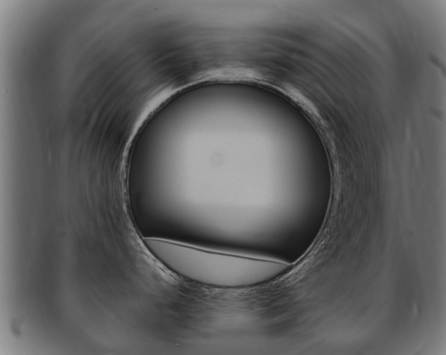 X0000091981248200709061146