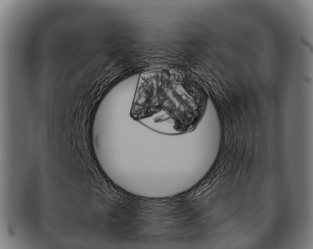 X0000091981249200709061145