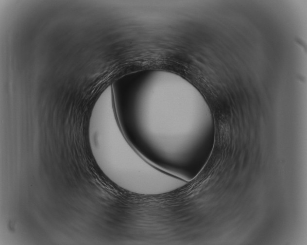 X0000091981250200709061145
