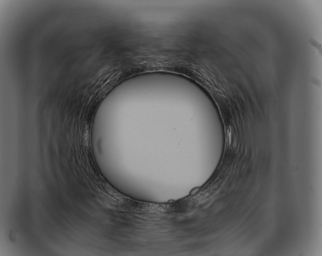 X0000091981251200709061145