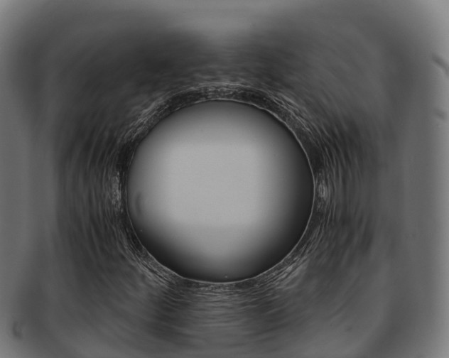 X0000091981252200709061145