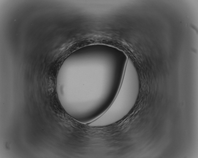 X0000091981253200709061145
