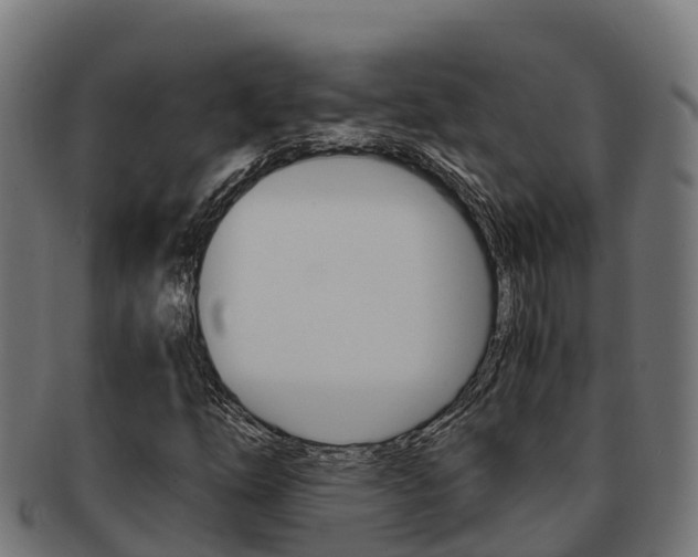 X0000091981254200709061145