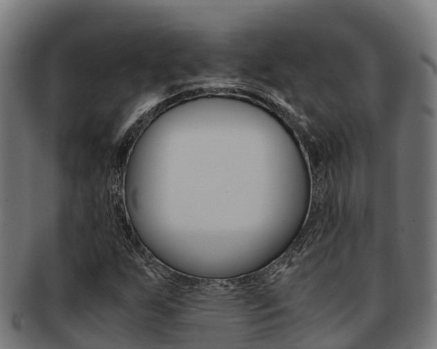 X0000091981255200709061145