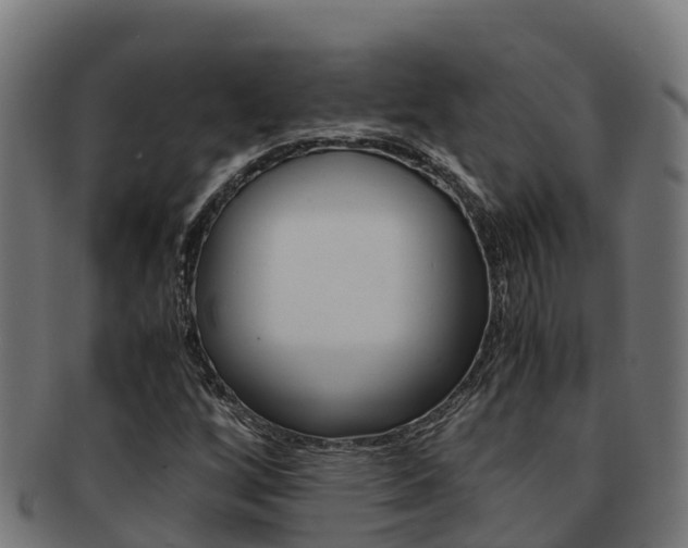 X0000091981256200709061145