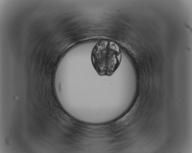 X0000091981257200709061145