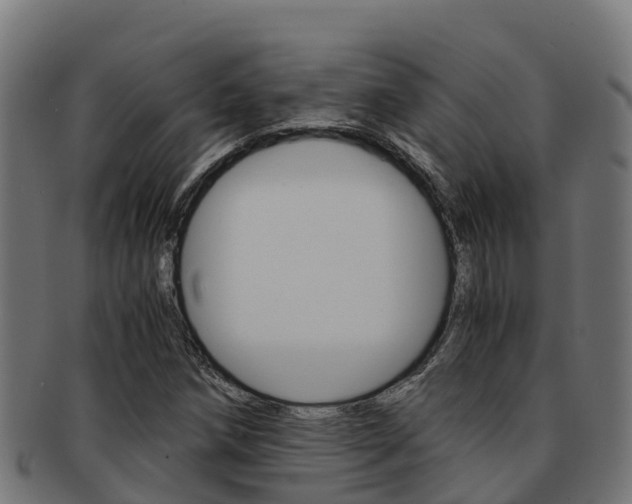 X0000091981258200709061145