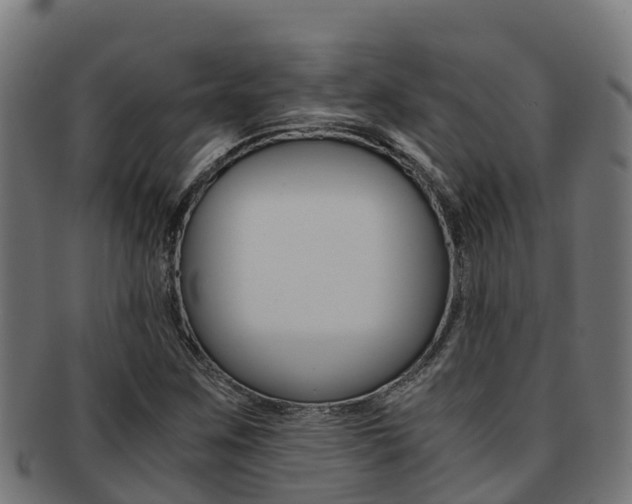 X0000091981259200709061145