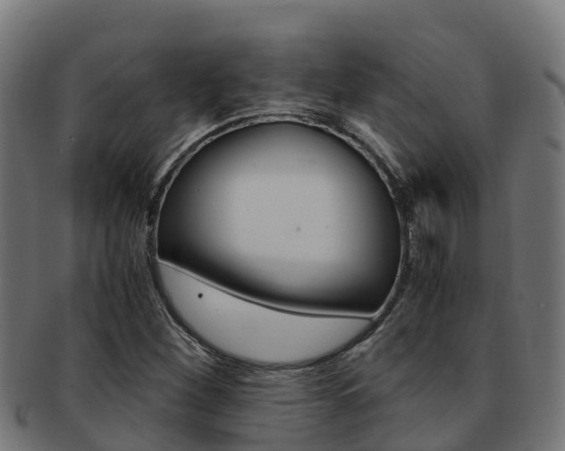 X0000091981260200709061145