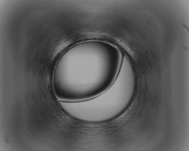 X0000091981261200709061145