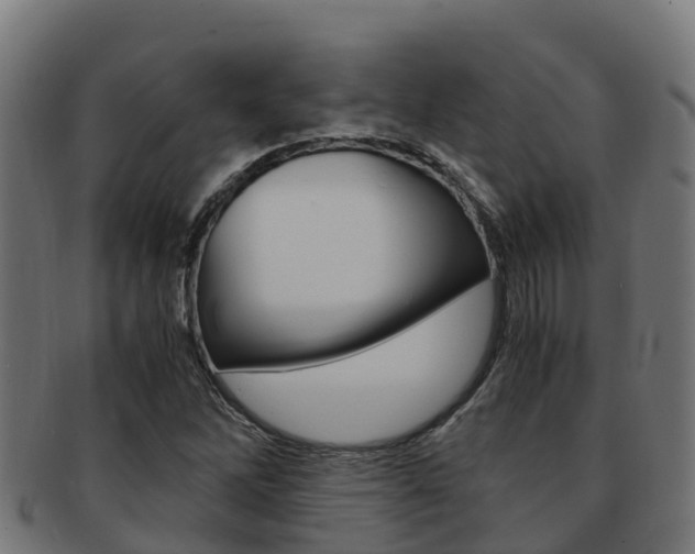 X0000091981262200709061145