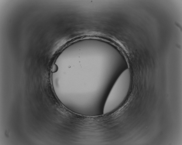 X0000091981263200709061145