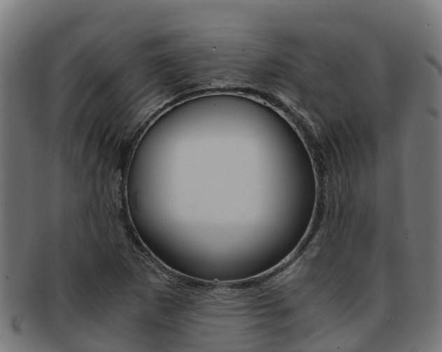 X0000091981265200709061145