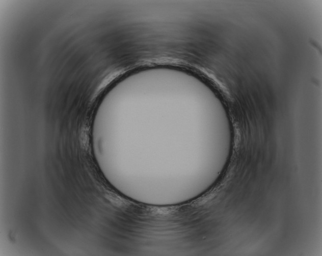 X0000091981266200709061145