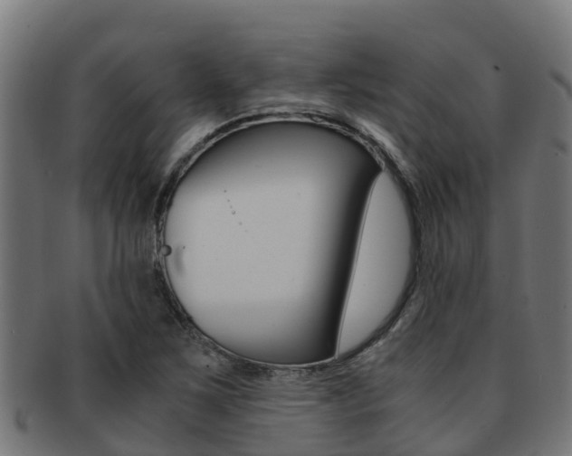 X0000091981267200709061145