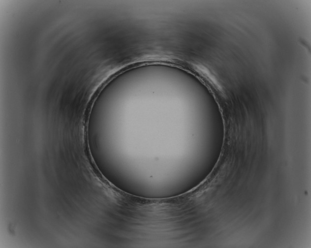 X0000091981268200709061145