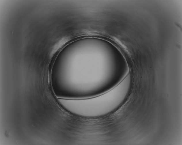 X0000091981269200709061145