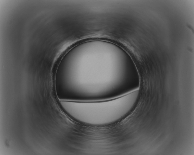 X0000091981270200709061145