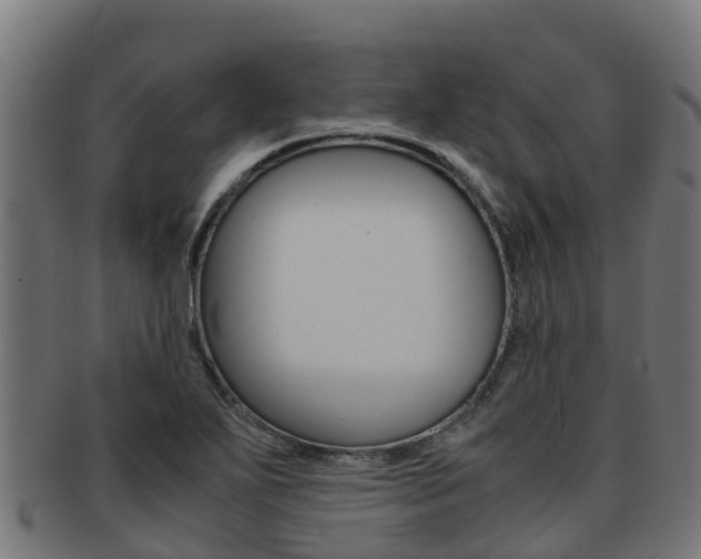 X0000091981271200709061145