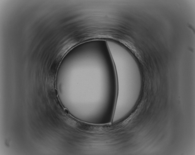 X0000091981273200709061145