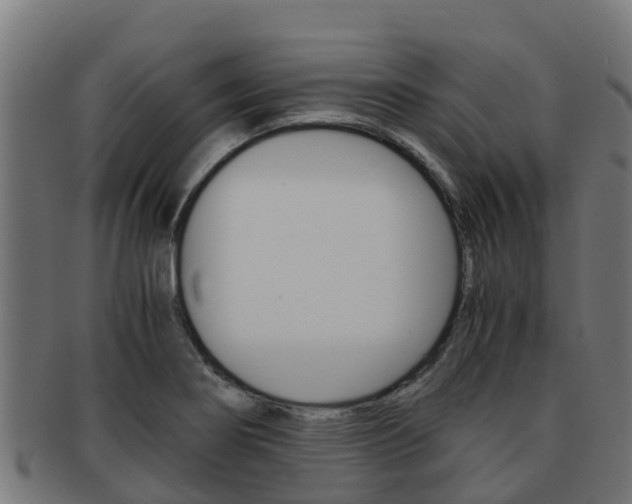 X0000091981274200709061145