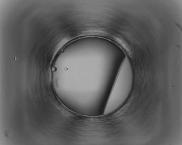 X0000091981275200709061145
