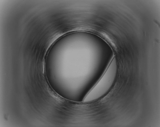 X0000091981276200709061145