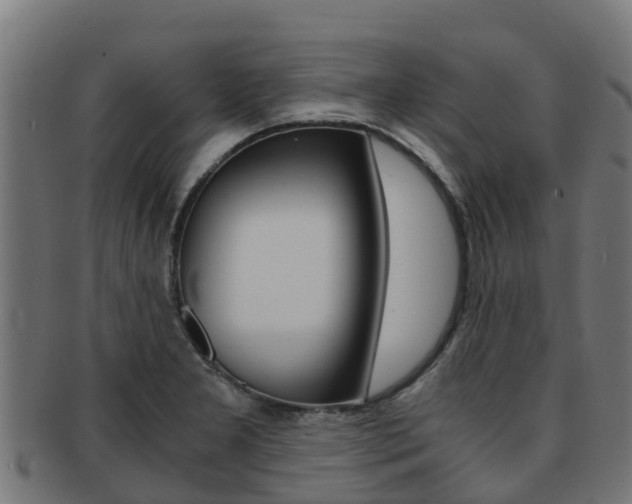 X0000091981277200709061145