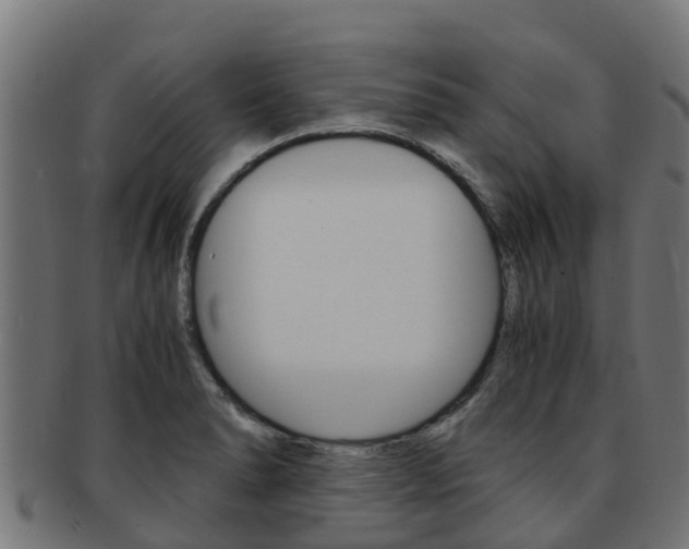 X0000091981278200709061145