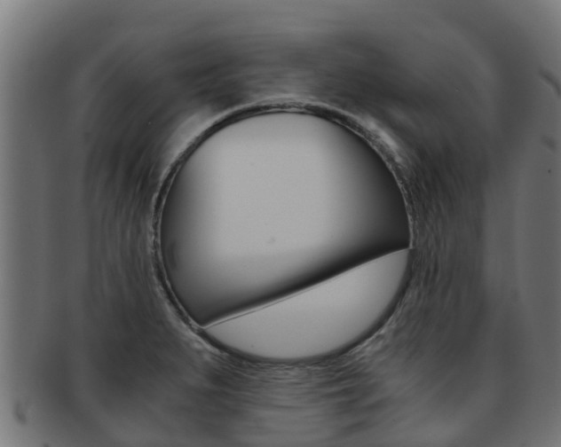 X0000091981279200709061145
