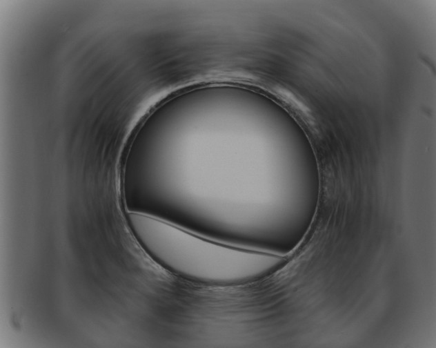 X0000091981280200709061145
