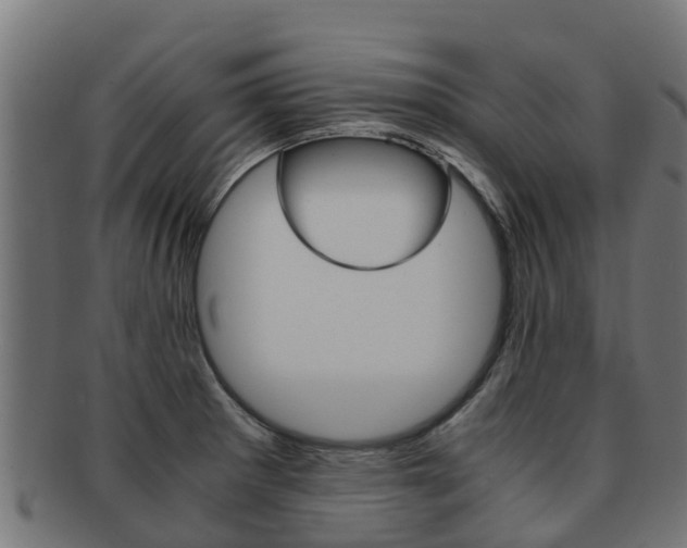 X0000091981281200709061145