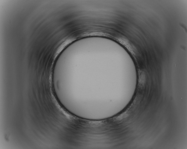 X0000091981282200709061145